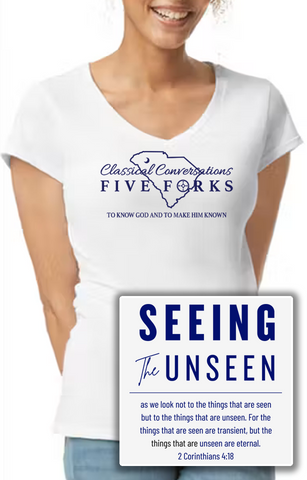 Ladies V-Neck Short Sleeve Tee
