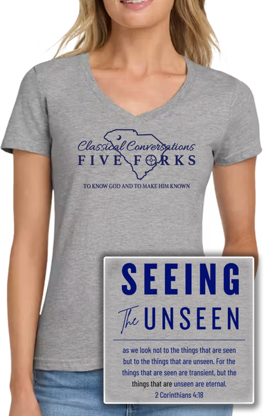Ladies V-Neck Short Sleeve Tee