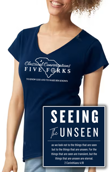 Ladies V-Neck Short Sleeve Tee